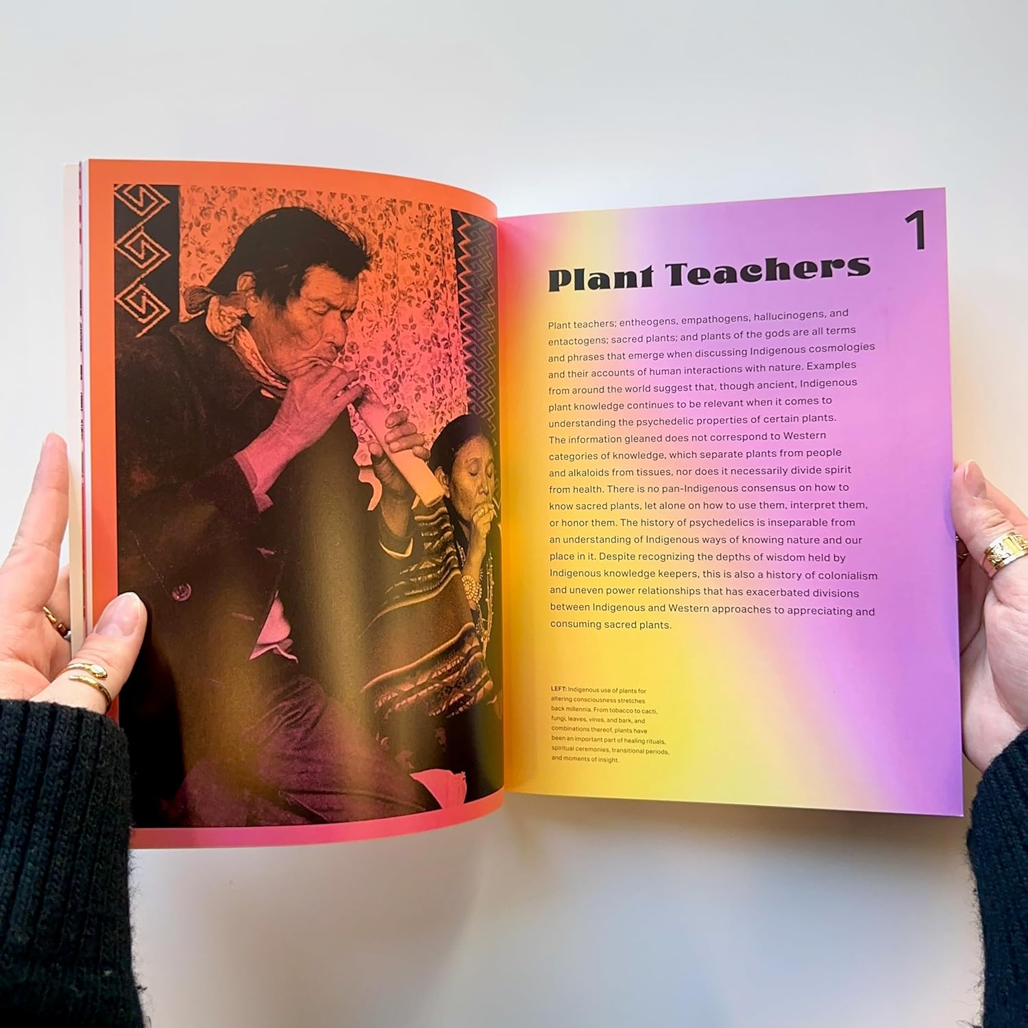 Psychedelics: a Visual Odyssey image number 2