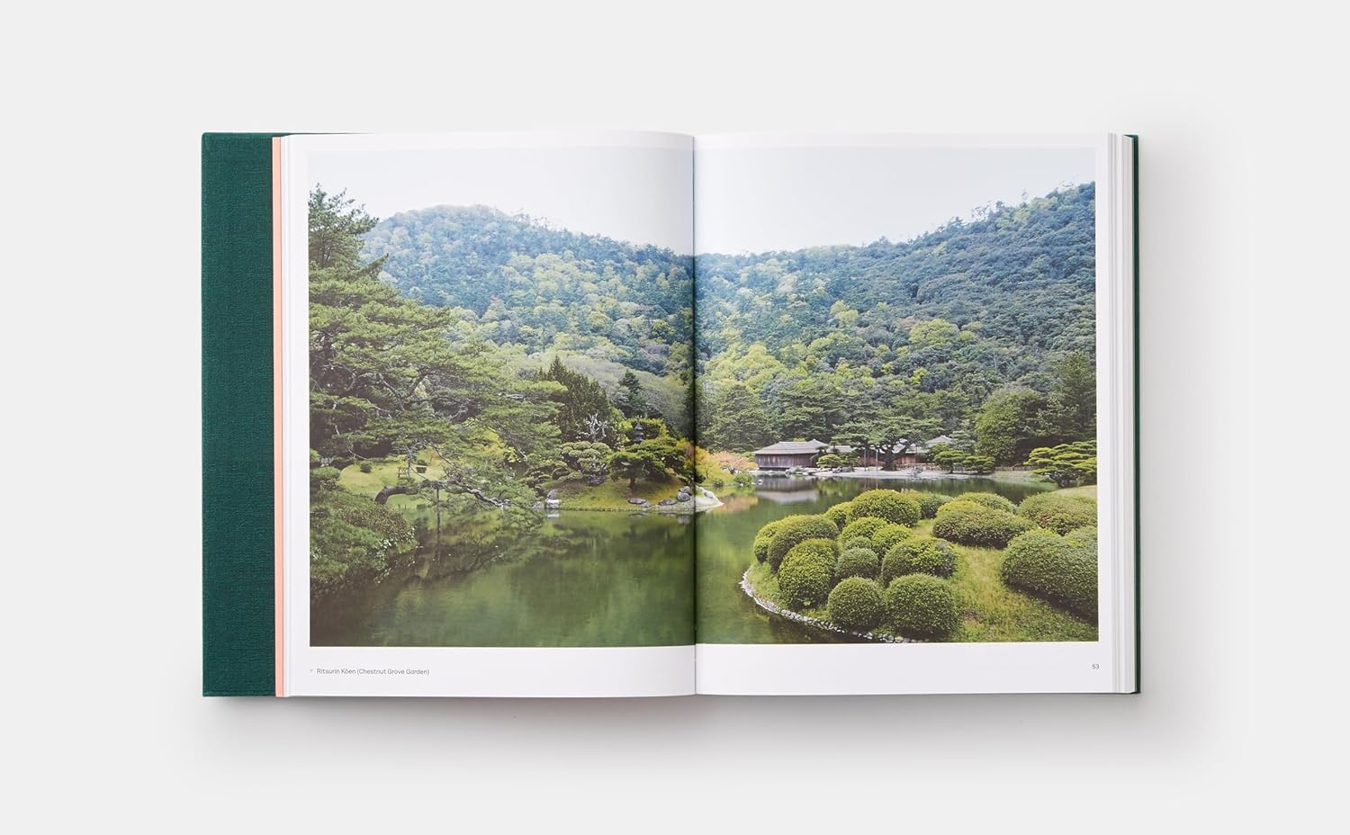 The Japanese Garden image number 4