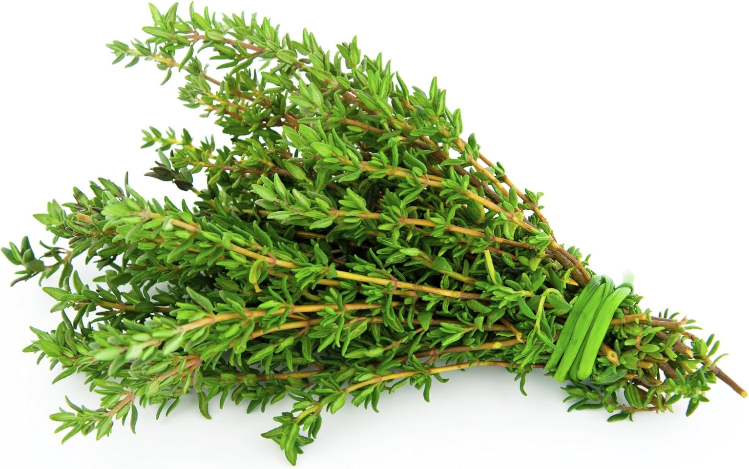 Thyme Essential Oil image number 1