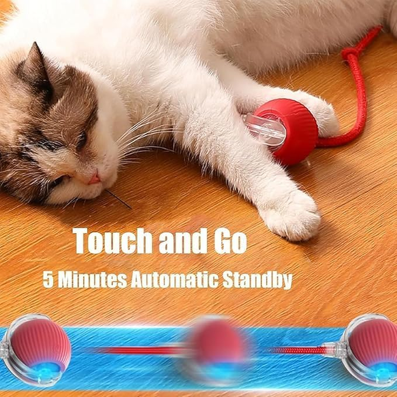 JIGCEN Intelligent Interactive Cat Toy, the Red Automatic Moving Rolling Ball, Rechargeable Interactive Toys for Cats, Cat Toys for Indoor Cats image number 2