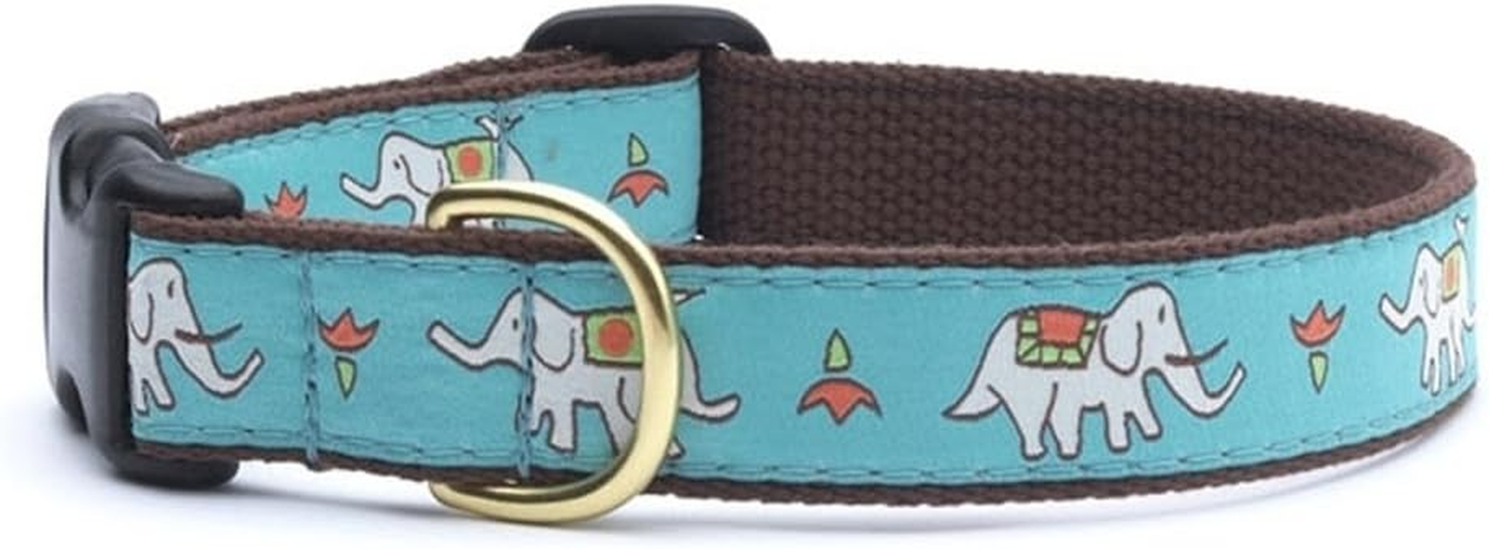 Animal World Leader of the Pach Dog Collar Width 1 "