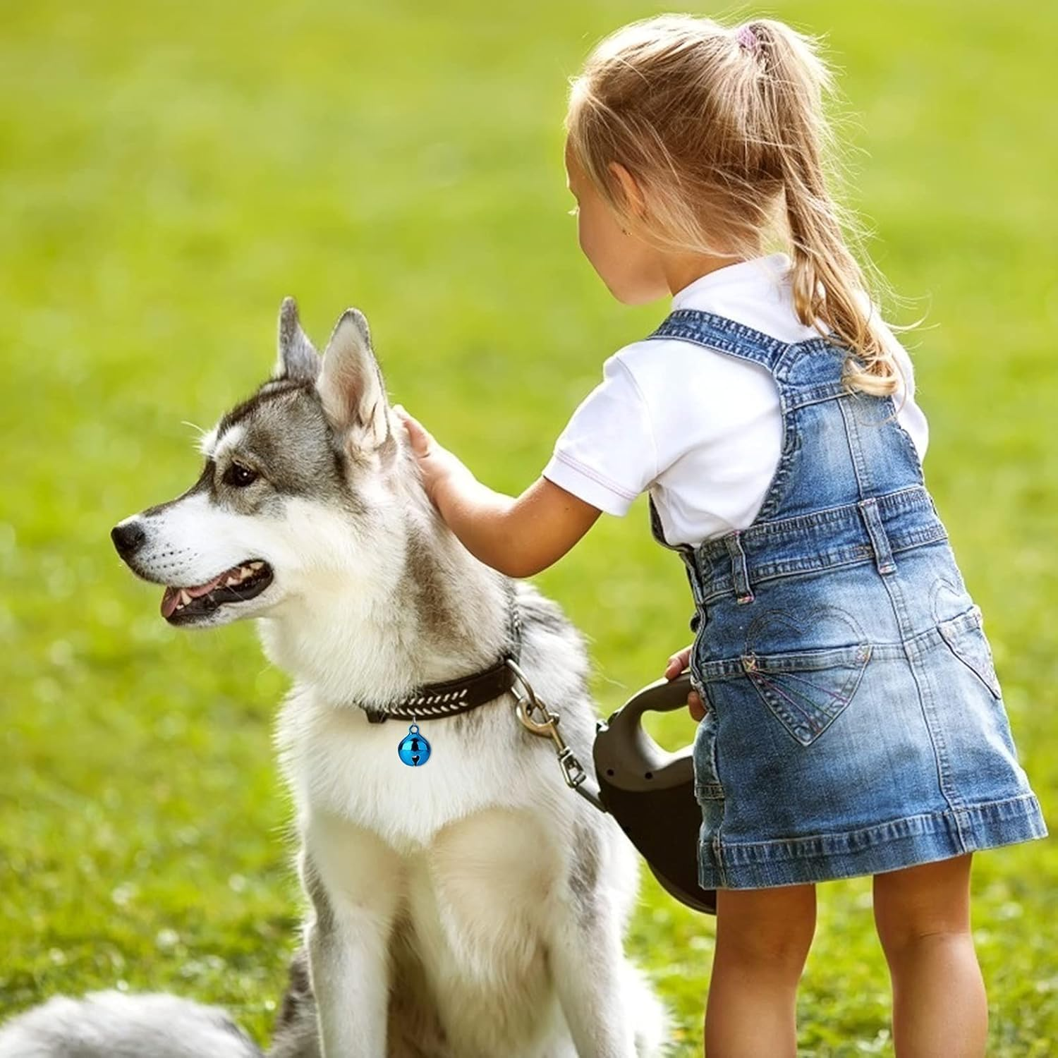 10 Pcs Cat Dog Collar Bells, Jingle Bell for Cat Collar,Dog Collar Charms,Colourful Pet Small Bells with Clasps Collar Accessories,Festival Party DIY Crafts Decoration image number 1