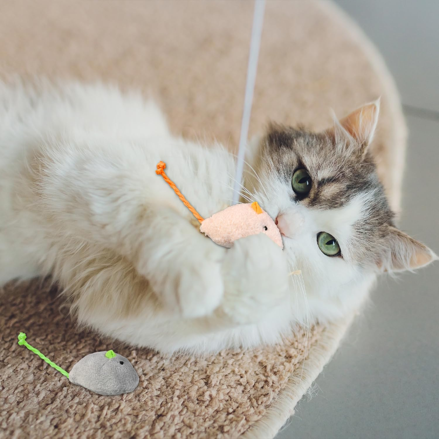 RUGBOL 4 Pcs Cat Toys, Bite Rope Catnip Toy Catnip Toy Mouse Kitten Toys Interactive Cat Toys for Indoor Cats Kitten for Boredom and Exercise (Red+Purple) - Red+Purple image number 4