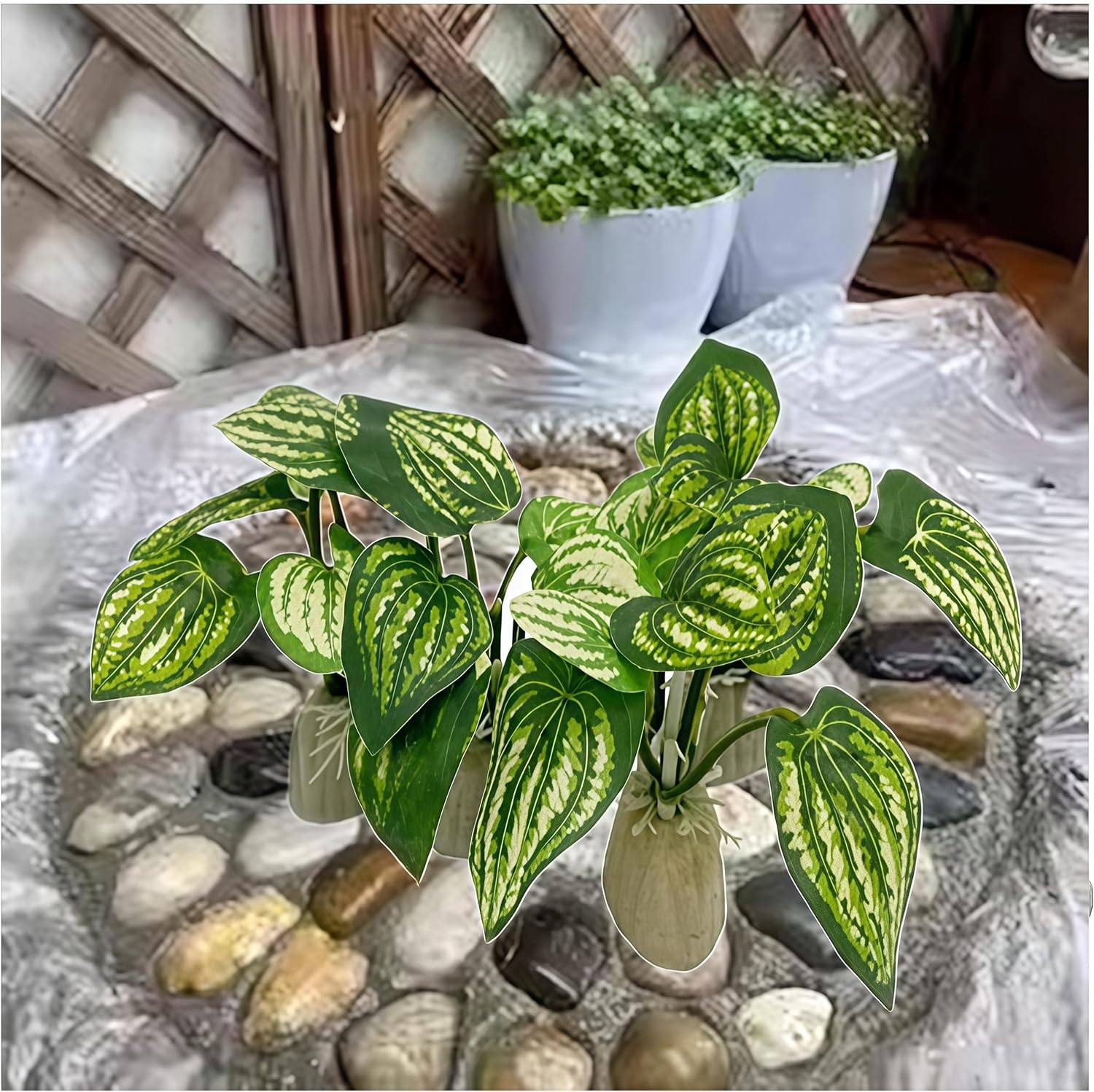 6Pcs Buddha Set,Fish Tank Decorations Aquarium Decoration Small Ornaments Accessories Betta Fish Rest Leaf Buddha for Household and Office Aquarium Simulation. image number 1