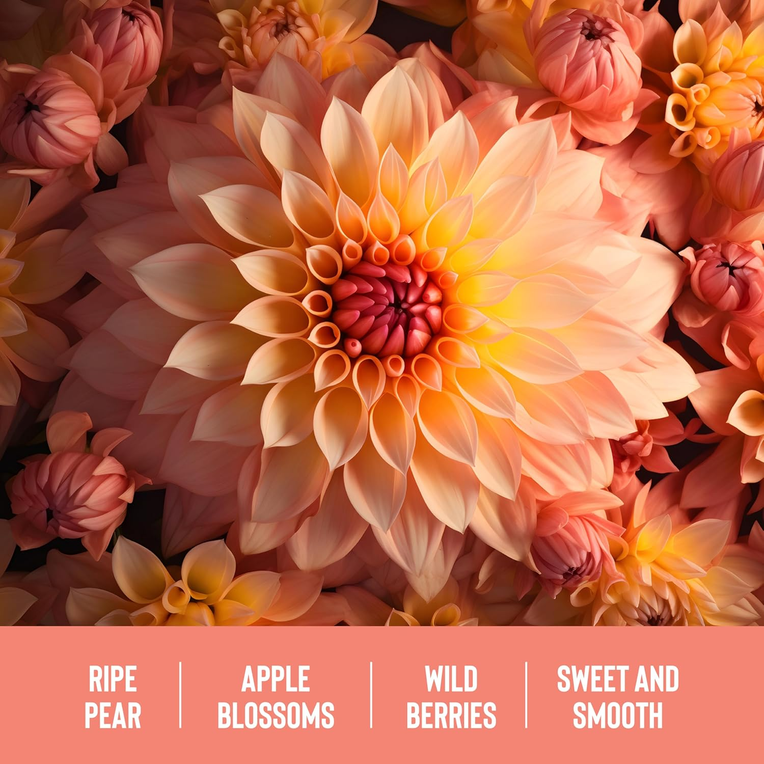 Coochy Fragrance Mist Sweet Nectar 4 Fluid Ounces - Peachy Keen image number 3