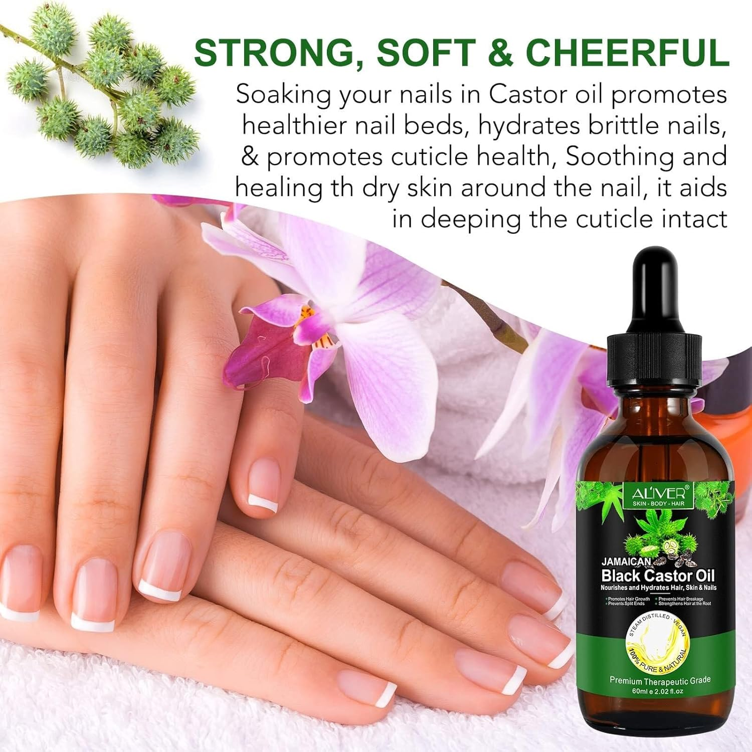 2PACK Jamaican Black Castor Oil, Pure Cold Pressed Castor Oil for Eyebrows, Eyelashes, Hair Growth, Nails, and Skin with 2PACK Set of Eyebrow & Eyeliner Brushes 120Ml image number 4