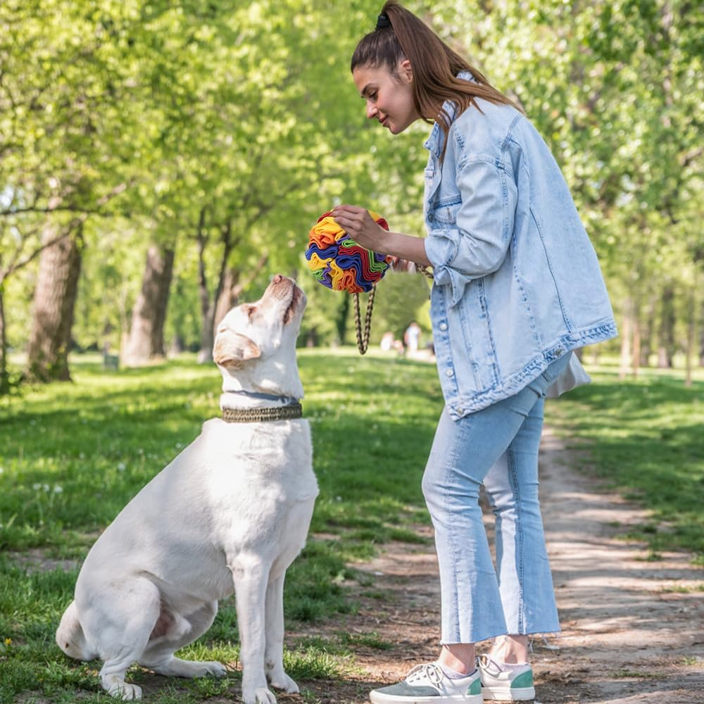 YSHIGUING Snuffle Mat for Dogs, Interactive Dog Puzzle Toy, Encourages Natural Foraging Skills, Stress Relief for Dogs image number 4