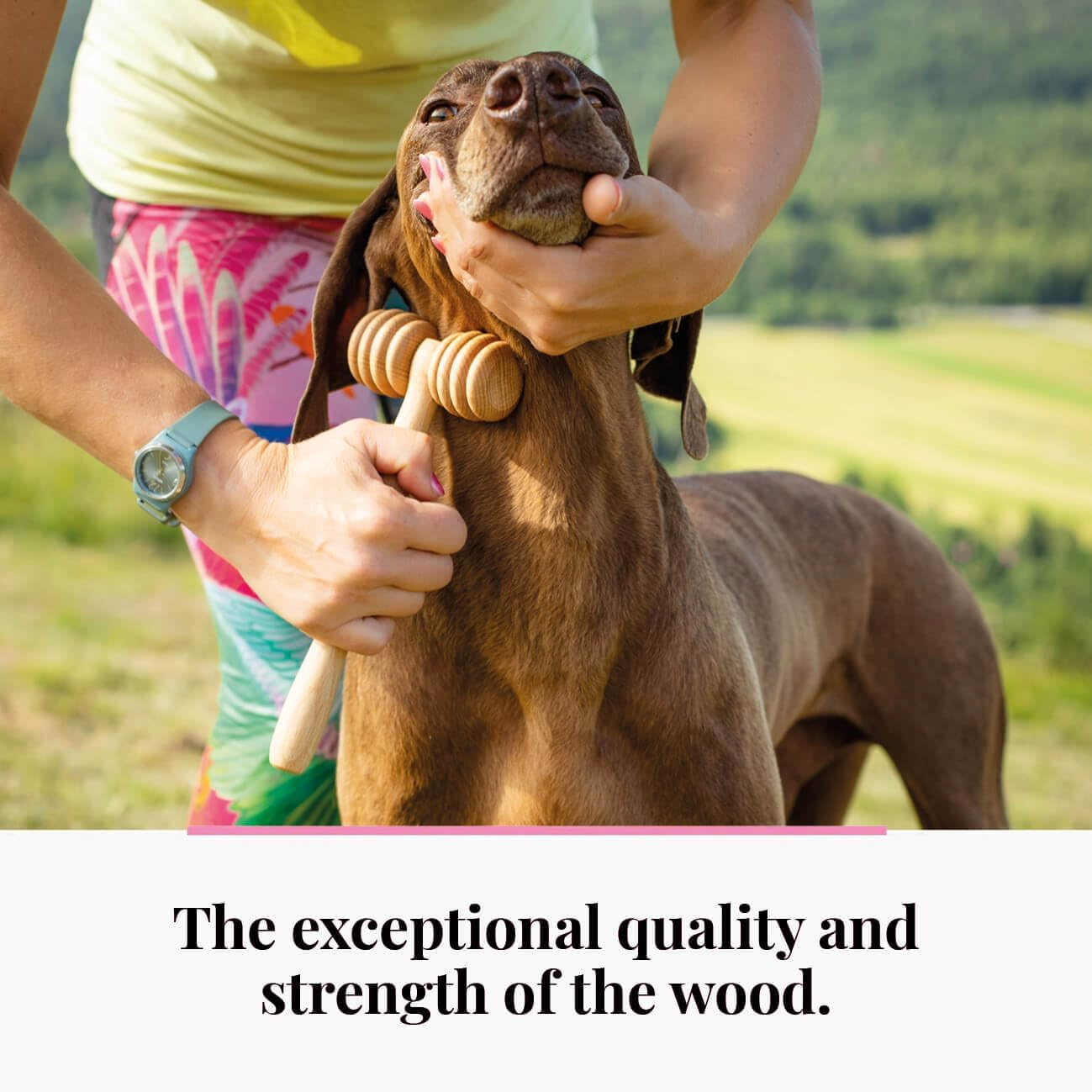 Tuuli Wooden Pet Massager Massager Roller for Dogs, Cats, Horses, Massage Brush, Short or Long Hair image number 3