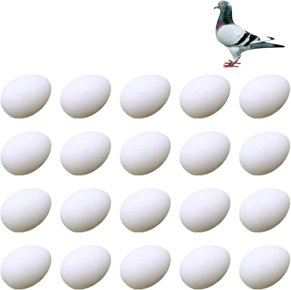 JVHLOV 20X Solid Plastic Dummy Fake Eggs, Dummy Eggs Dove, Simulation Bird Egg Bird Breeding Tool image number 6