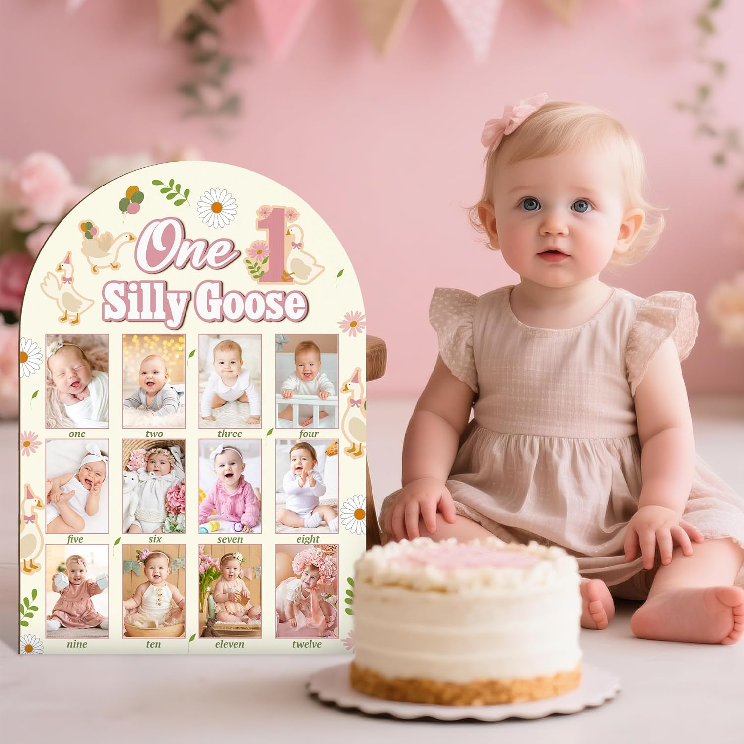 R HORSE My First Year Photo Frame Board, 3D One Silly Goose Birthday Decorations Display Wood Board, Baby First Year Picture Frame 12 Months Milestone 1St Birthday Nursery Decor Gift for Boy Girl image number 1