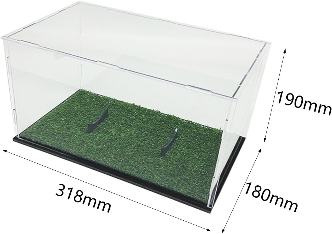 Folpus Football Display Case, Memorabilia Holder, Rugby Holder, Acrylic Display Case Football Storage Box for Toy Diecast Car Figure, with Grass image number 3