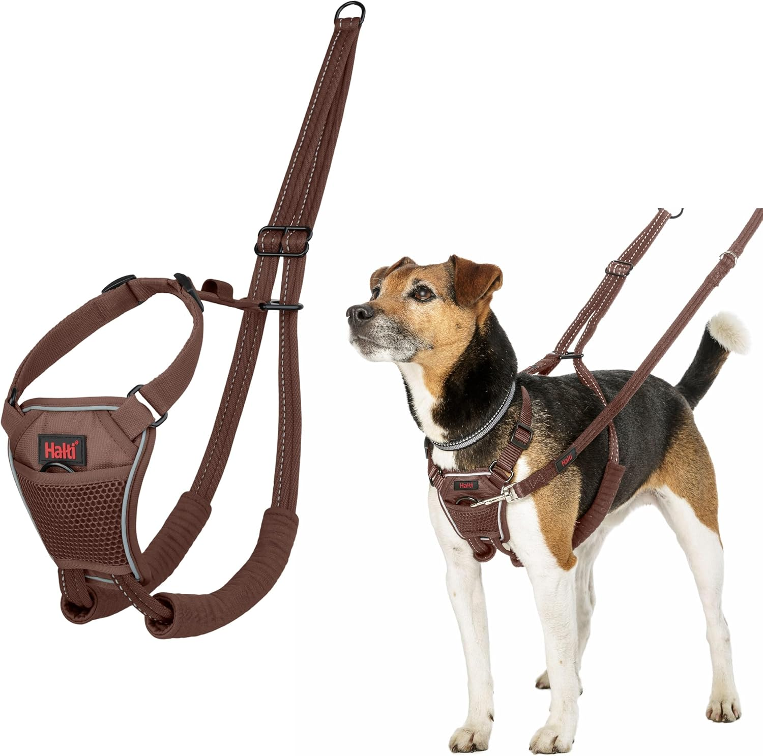 HALTI No Pull Anti-Pull Harness - Prevents Your Dog from Pulling on the Lead, Padded Chest and Leg Strap, Reflective Strap Material, Easy Adjustment and Use (Size M, Walnut Brown)