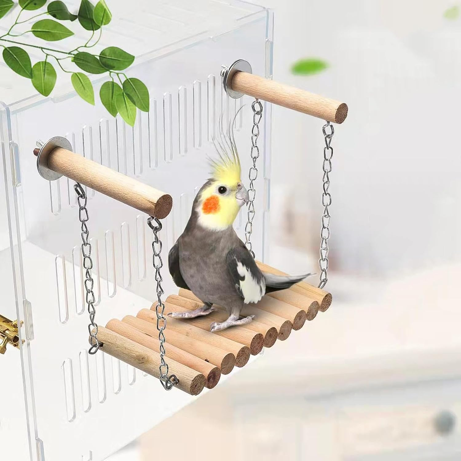 Bird Swings for Parakeets | Natural Wood Bird Perch Stand for Parrots | Swings for Small Birds, Stand Bird Toys, Cage Accessories for Parakeets, Cockatiels, Finches Pochy image number 4