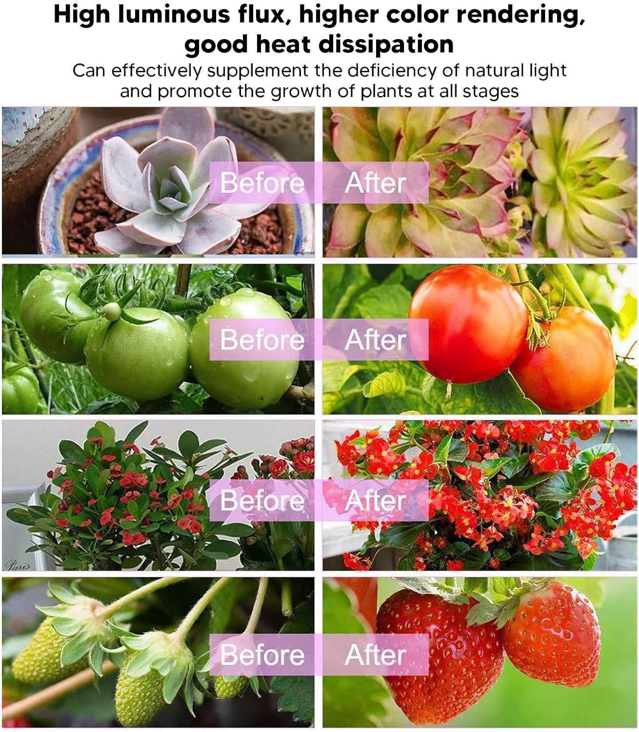 Solar Powered Grow Light Strip, Full Spectrum Led Strip Growing Lamp with 20W 5V Solar Panel Ip65 Waterproof High Luminous Lux Led Plant Grow Lights for Indoor Outdoor Greenhouse image number 4