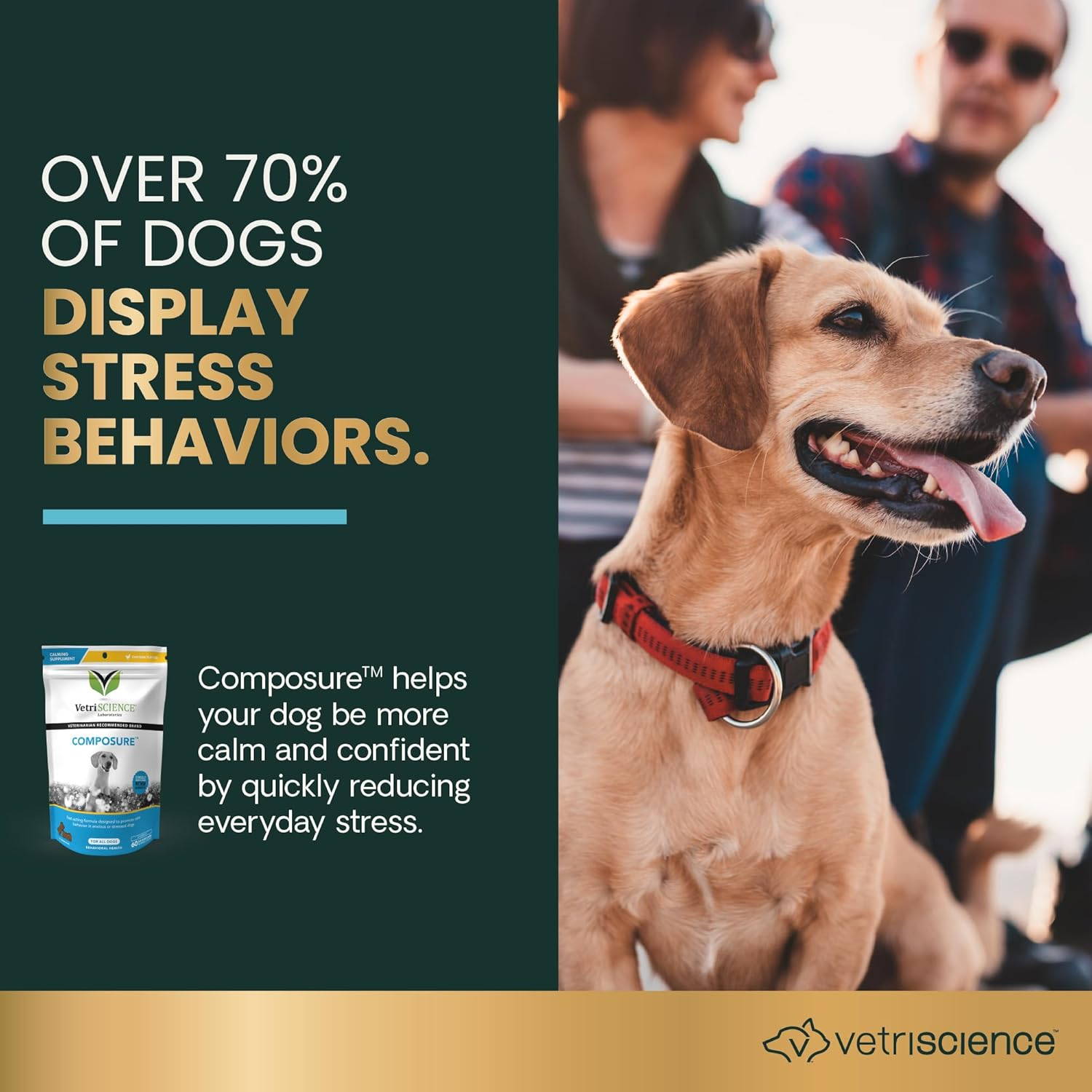 Vetriscience Laboratories Composure, Calming Support for Dogs, Naturally Sourced Chews to Provide Anxiety Relief for Anxious & Nervous Dogs.120 Bite Sized Chews image number 2