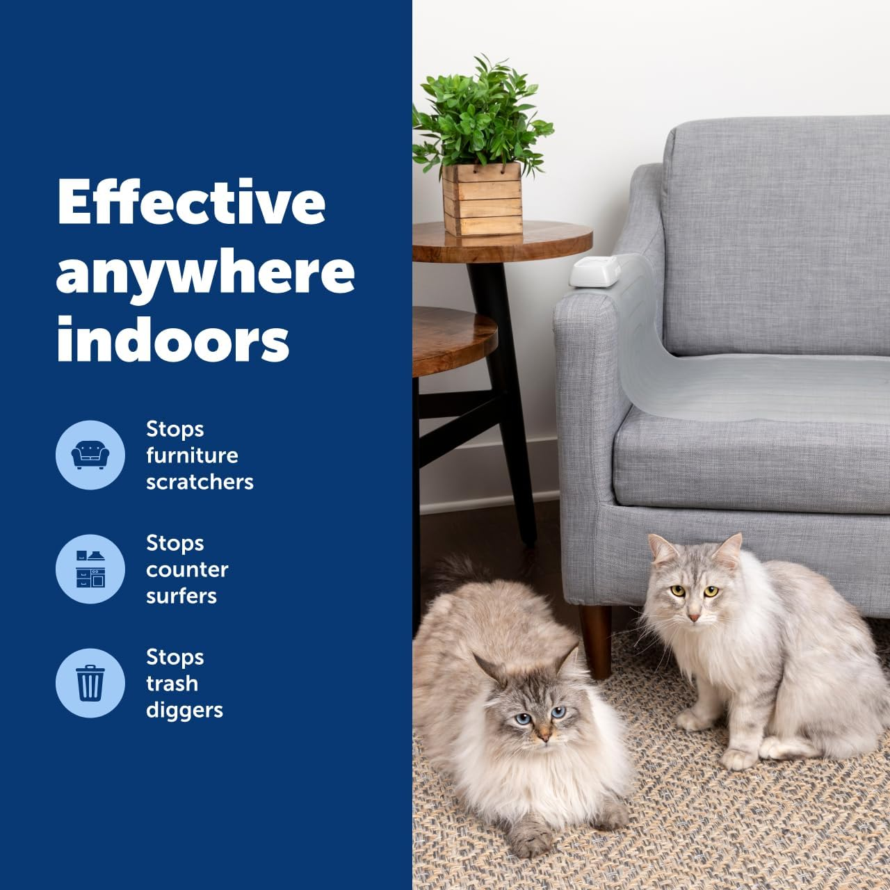 Petsafe Scatmat Indoor Training Mat, 7 Correction Modes, Protect Your Furniture, Training Tool for Dogs and Cats, Medium Size Mat (30 in X 16 In) image number 3