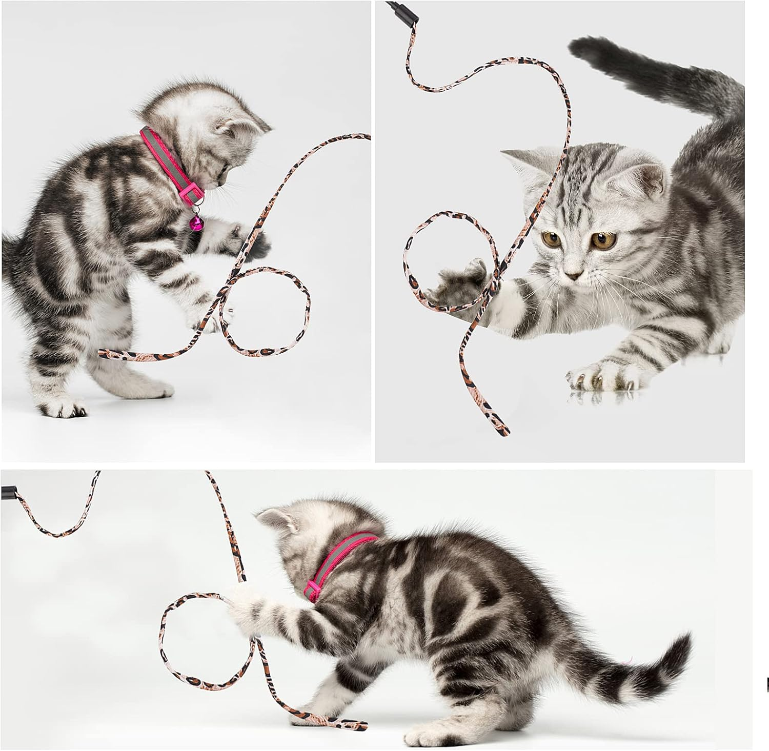 Molain Cat Wand Rainbow Toy - 5Pcs Ribbon for Kittens Training, Interactive Stick Toy for Kitten Exerciser Playing (30Cm, Leopard Print) image number 2