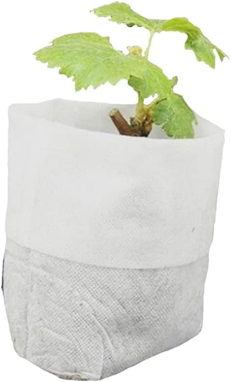 400 Pcs Seeding Bags Small Plant Grow Bags Non-Woven Seedling Raising Pots Gardening Supply for Home Garden image number 3