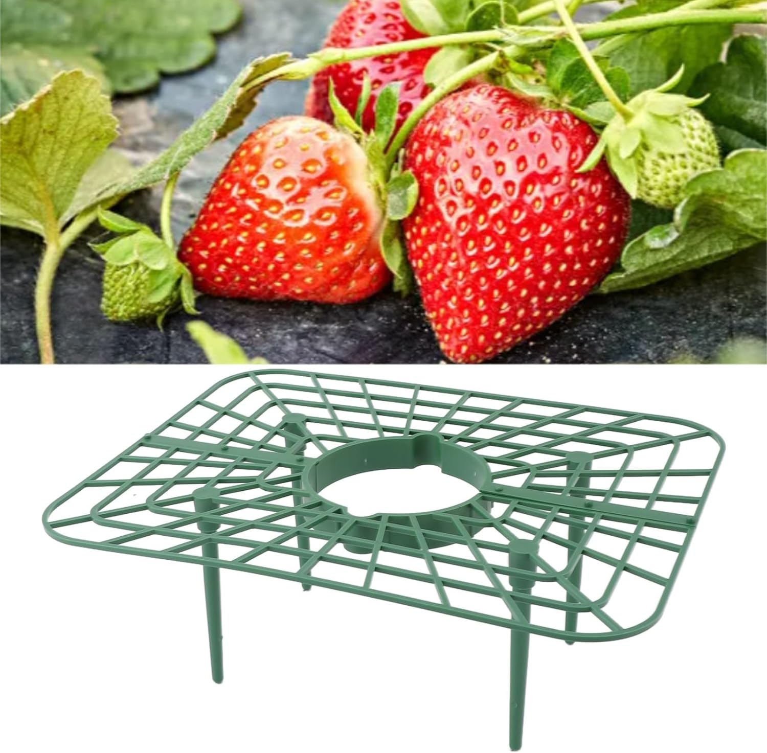 20 Pcs Strawberry Plant Support, Multifunction Plant Growing Rack Reusable Growing Holder with Support Foot Stable Plant Display Stand Rack for Garden Planting image number 1