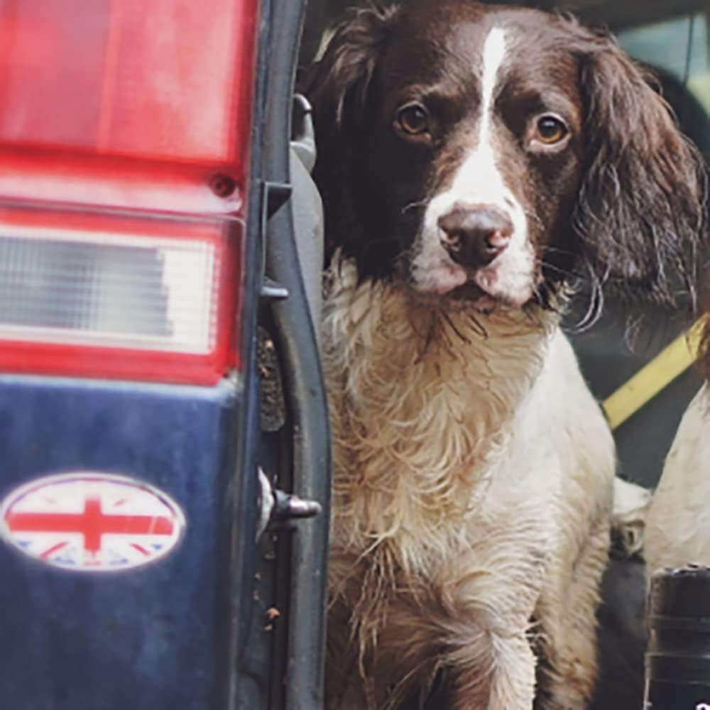 Animology Cloud K9 Body Mist