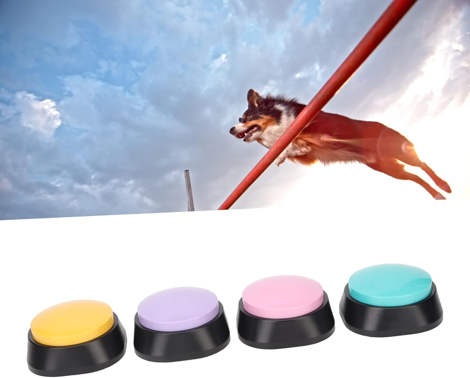 Yunir Dog Keys, 4 Pack 30 Seconds Clear Sound Voice Recording Button for Pet Training for Cat Dog Training Study Office Home image number 3