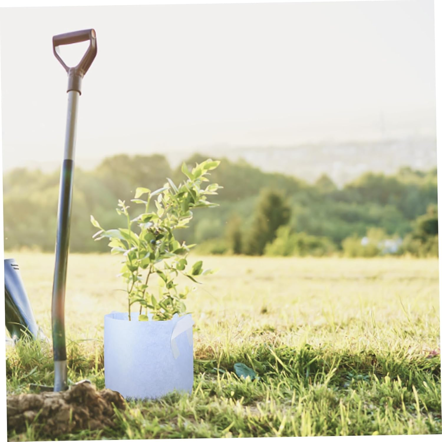 DECOMELODY 10Pcs Non-Woven Fabric Plant Growing Bags for Potatoes Tomatoes and Flowers Breathable Cultivation Pouch for Healthy Root Development and Maximized Gardening Space image number 4