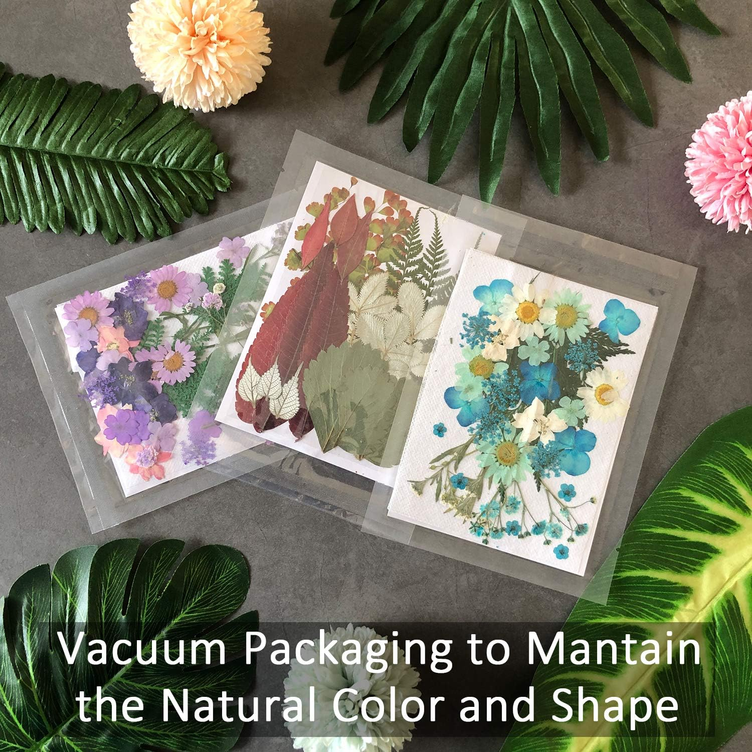 Cinvo 90 Pcs Real Dried Pressed Flowers and Leaves Natural Dried Petals for Candle Resin Jewelry Soap Nail Pendant Phone Case Crafts Making Floral Decors Scrapbooking Diy(Blue, Purple, Pink, Green) - Assorted image number 6