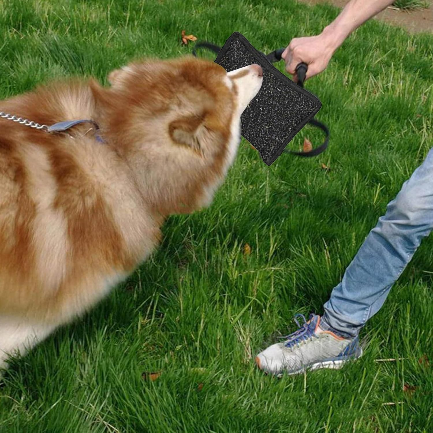 NCONCO Pet Dog Biting Tug Toy Durable Dog Leash Biting Cushion Dog Pull Toy with 3 Handles for Dog Training image number 4