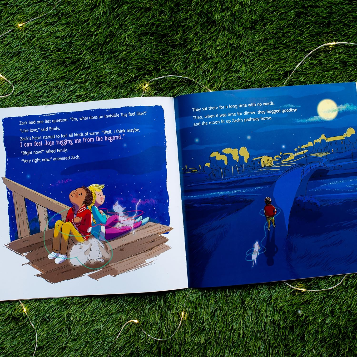 The Invisible Leash: a Story Celebrating Love after the Loss of a Pet: 3 image number 6