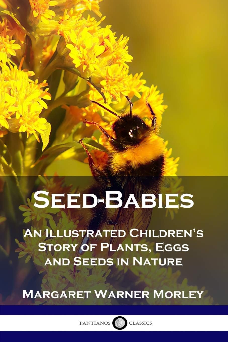 Seed-Babies, Illustrated Edition