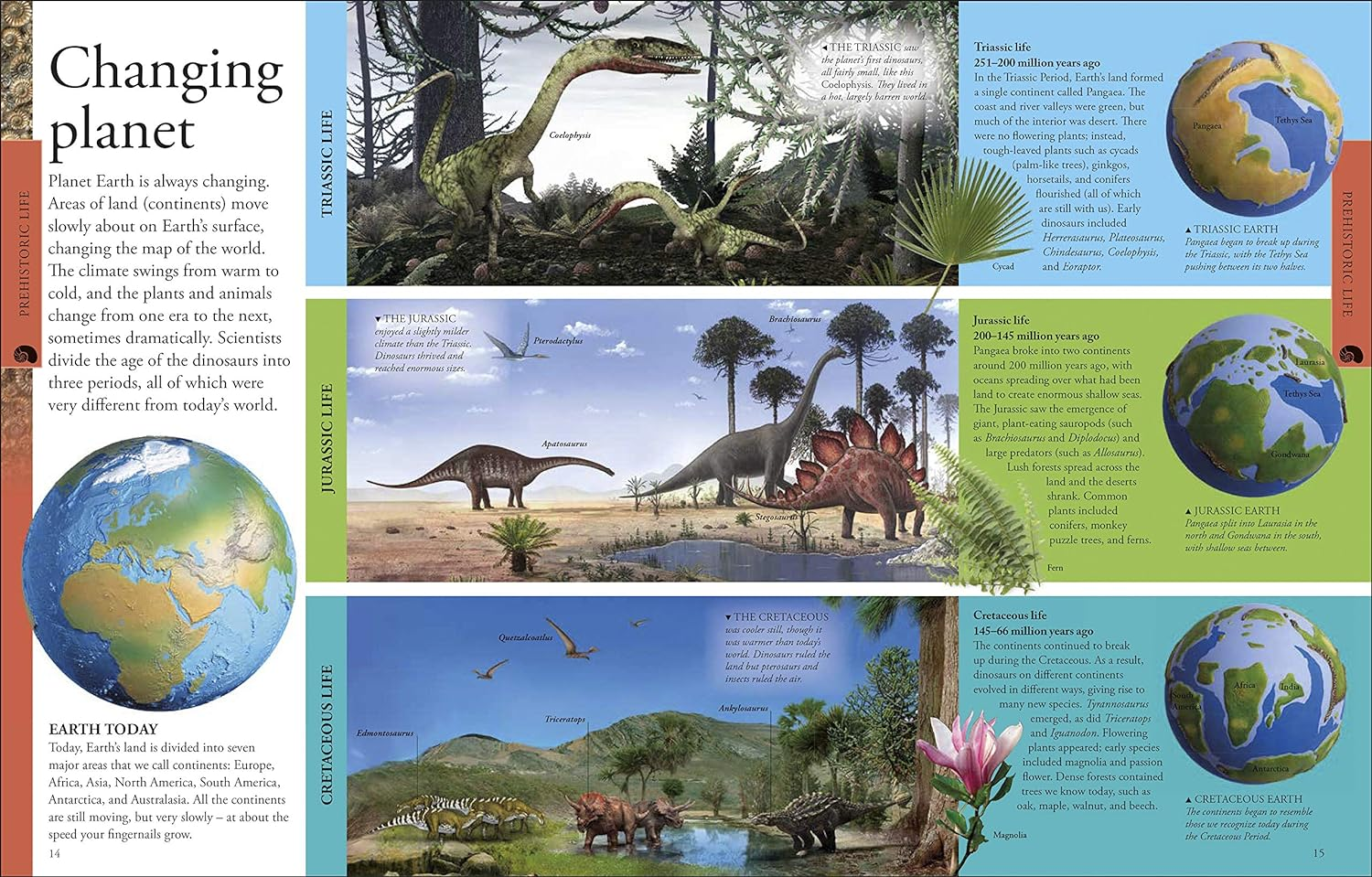 Dinosaurs a Children'S Encyclopedia