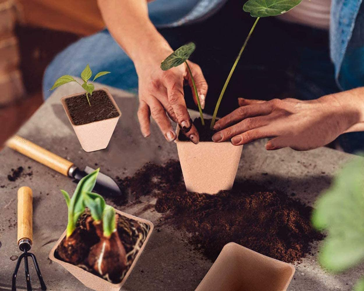 100 Pcs 8CM Seed Starter Pots, Organic Planting Peat Pots for Garden Seedling, Eco-Friendly and Biodegradable Seedling Pots for Seed Germination image number 4