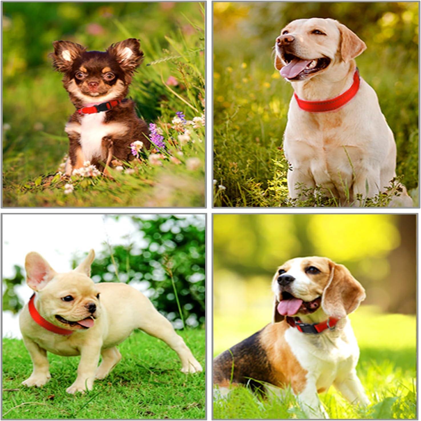 Reflective Nylon Dog Collars, Adjustable Classic Dog Collar, Dog Accessories Collar, Black Buckle Reflective Collar, for Small Medium Large Dogs with Buckle Heavy Duty Basic Dog Collar image number 6