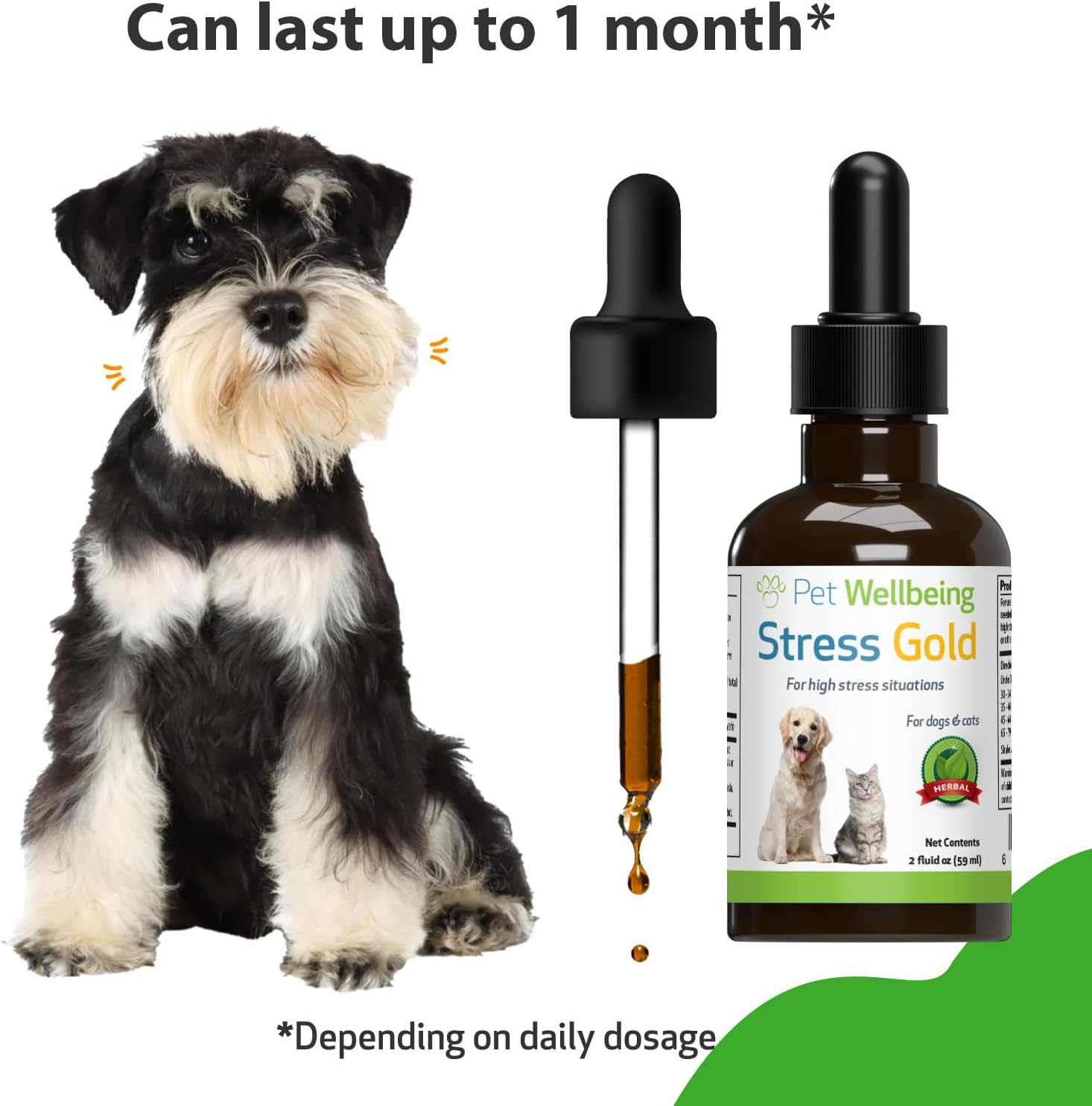 Pet Wellbeing Stress Gold for Dogs - Occasional High Stress and Restlessness, Supports Relaxation, Travel, Vet Trips, Skullcap, Valerian - Veterinarian-Formulated Herbal Supplement 2 Oz (59 Ml) image number 5