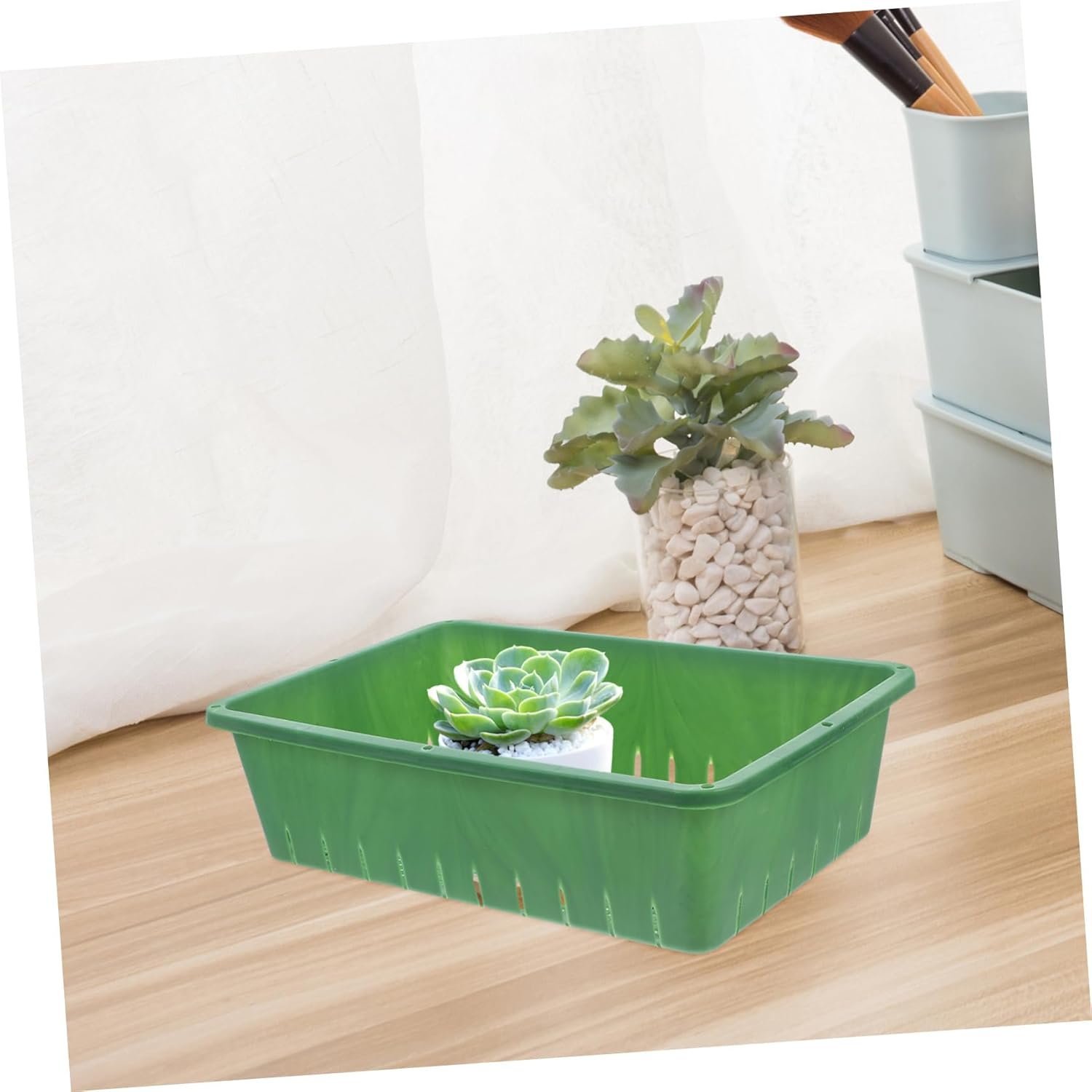 PAMINGONO Seedling Tray Plant Starter Propagation Tray for Gardening Indoor and Outdoor Use Small Green Plastic 26X18X7Cm 2Pcs Germination and Growing Container for Succulents and Seedlings image number 3