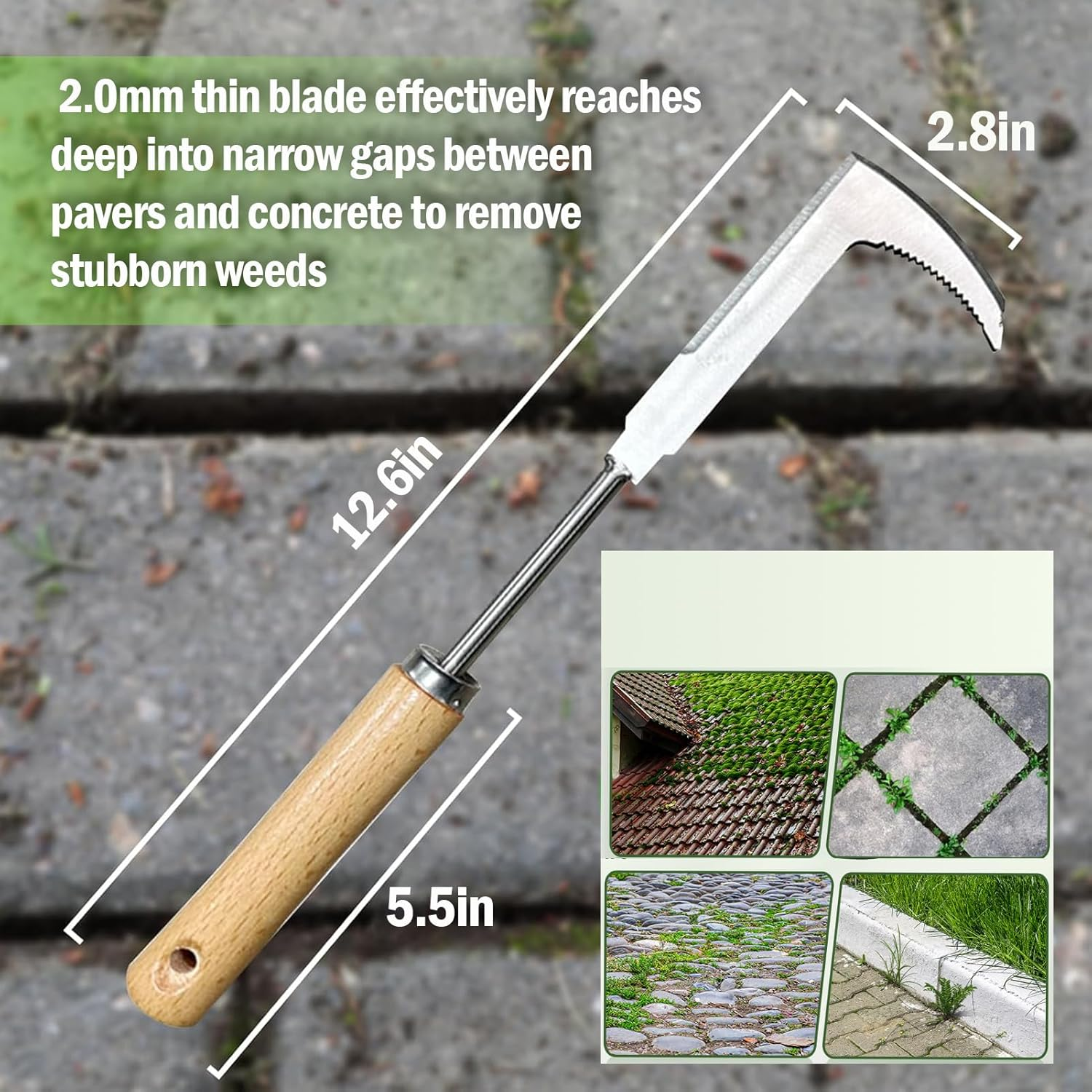 Stainless Steel Crevice Weeding Tool, 2 Pack, Manual Weeder with Wooden Handle for Gardens and Patio Lawns Driveways and Walkways image number 3