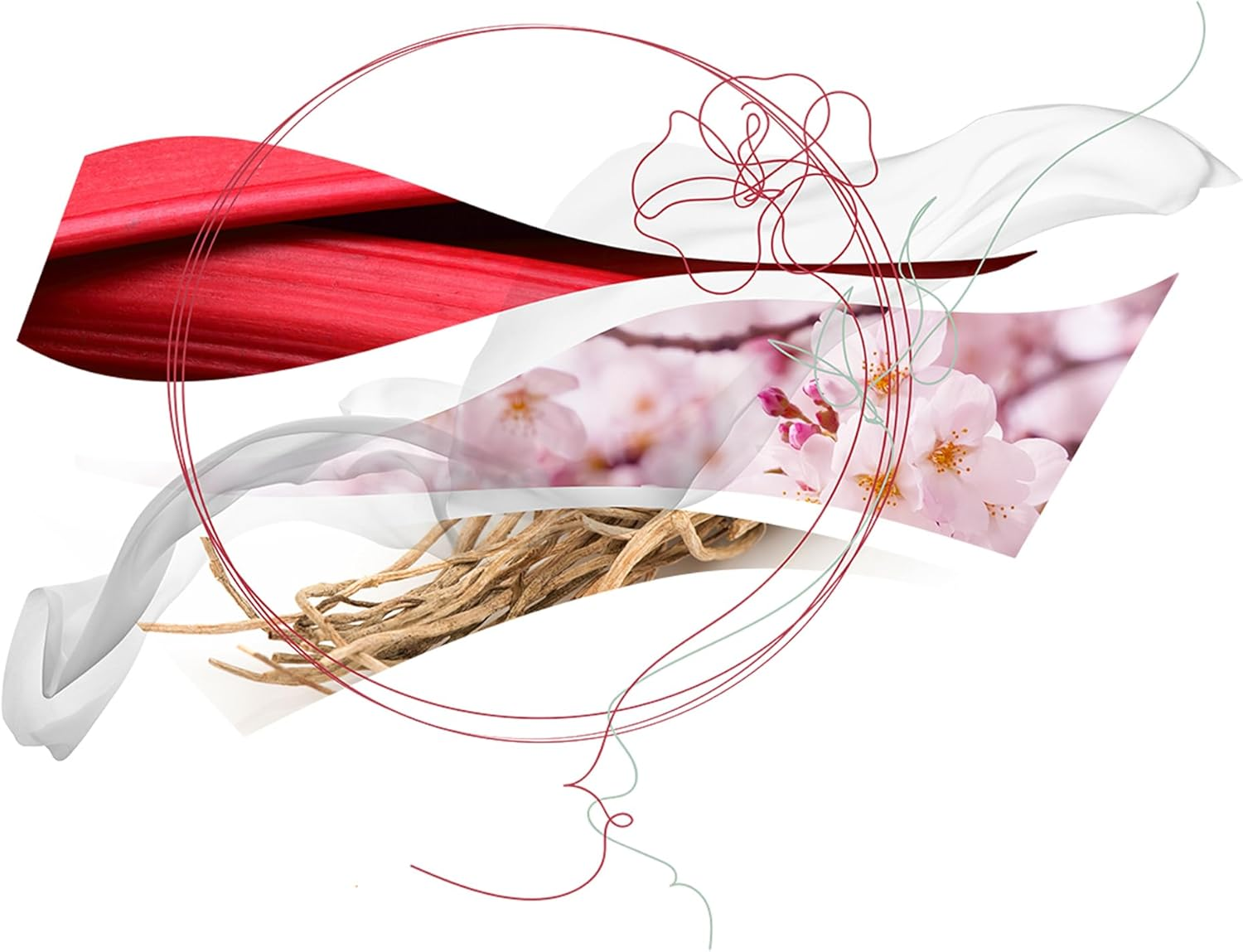 Salvatore Ferragamo Giardini Di Seta image number 3