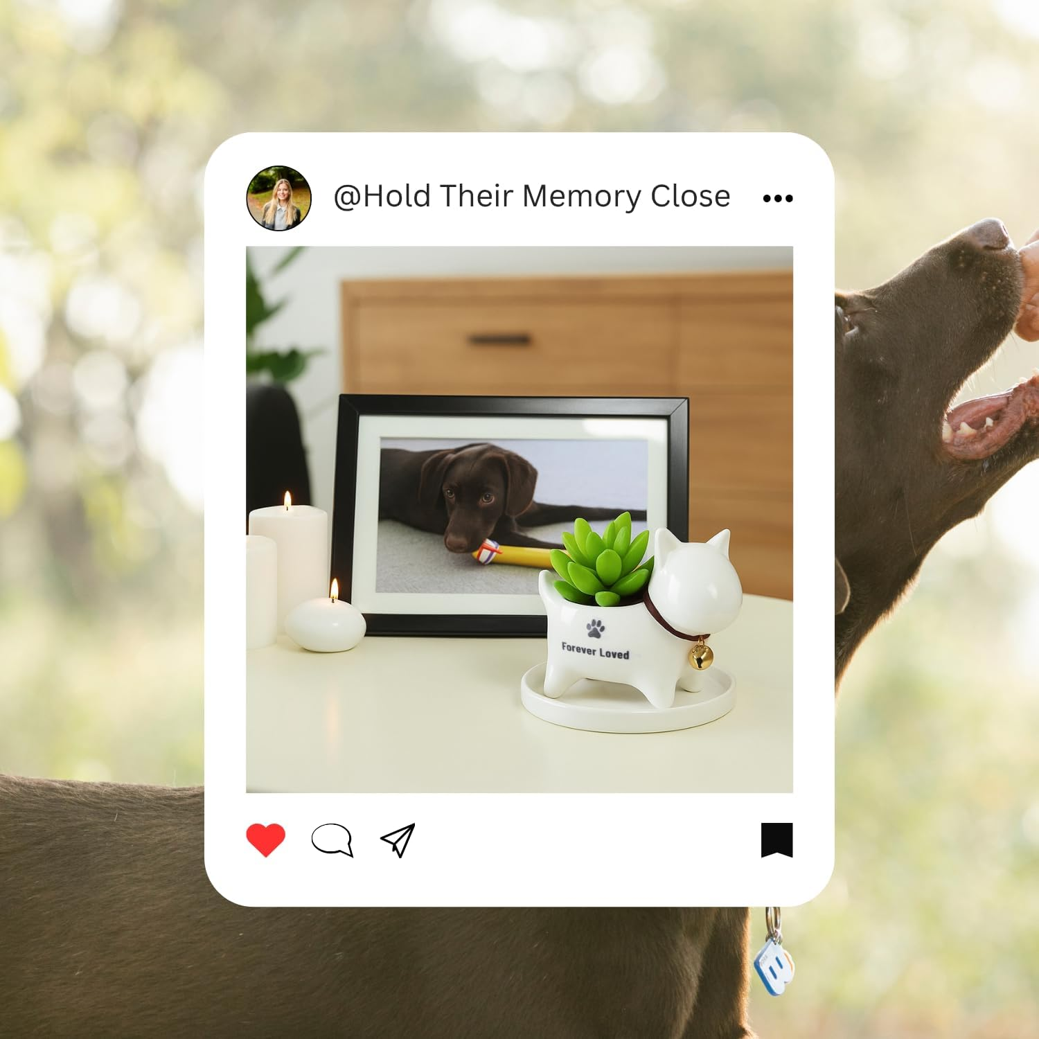 Ceramic Dog Memorial Planter Forever Loved Pot & Tray, Ideal for Succulents, Cacti, and Mini Plants image number 4