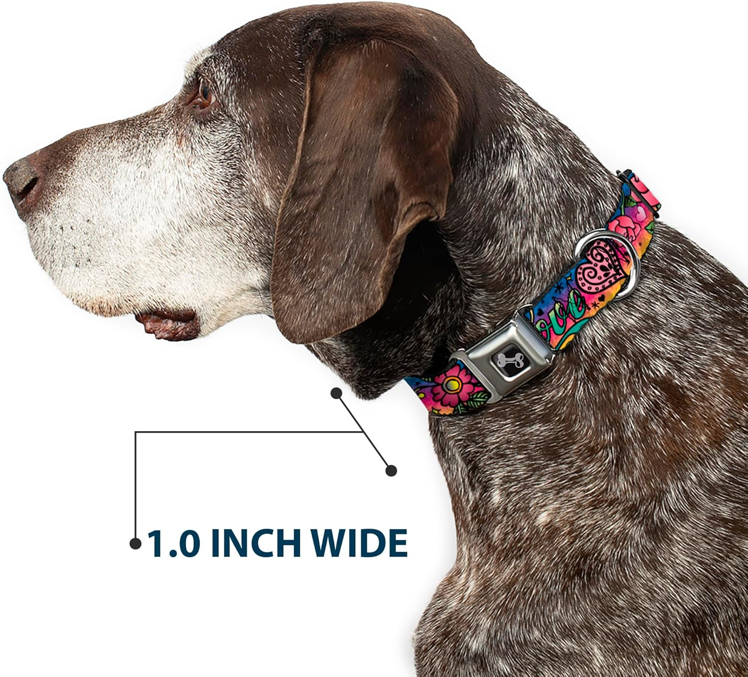 Buckle-Down Seatbelt Buckle Dog Collar - Love Love Purple - 1.5" Wide - Fits 18-32" Neck - Large