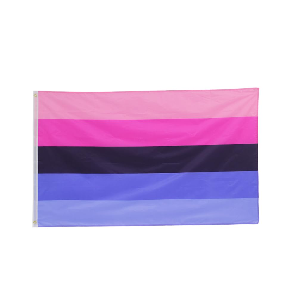 FLAGLINK Ominisexuality Pride Flag 3X5Fts - Pansexuality Omni Pride Banner image number 5