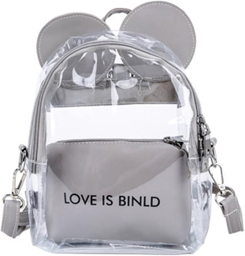 DDPOND Colorful Transparent Daypack Women Clear Cosmetic Makeup Bag Small Satchel for Daily Usetravel Beach