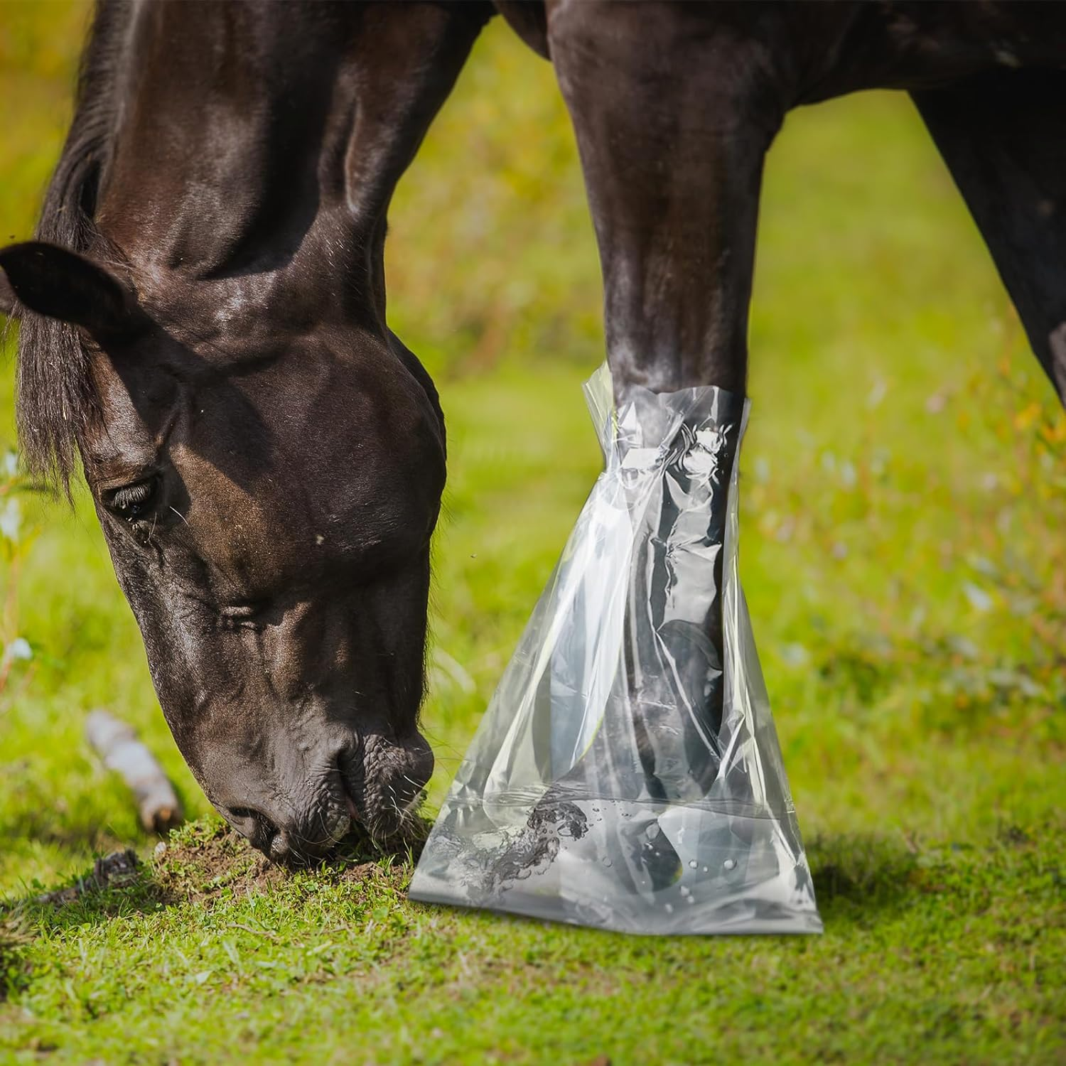 20 Pcs Disposable Soak Boot Hoof Soaking Bag Hoof Boots for Horses with 1 Roll of Adhesive Tape for Thrush Bacterial Infection Treating Hooves Care Liquid Treatment Equine Donkey Draft