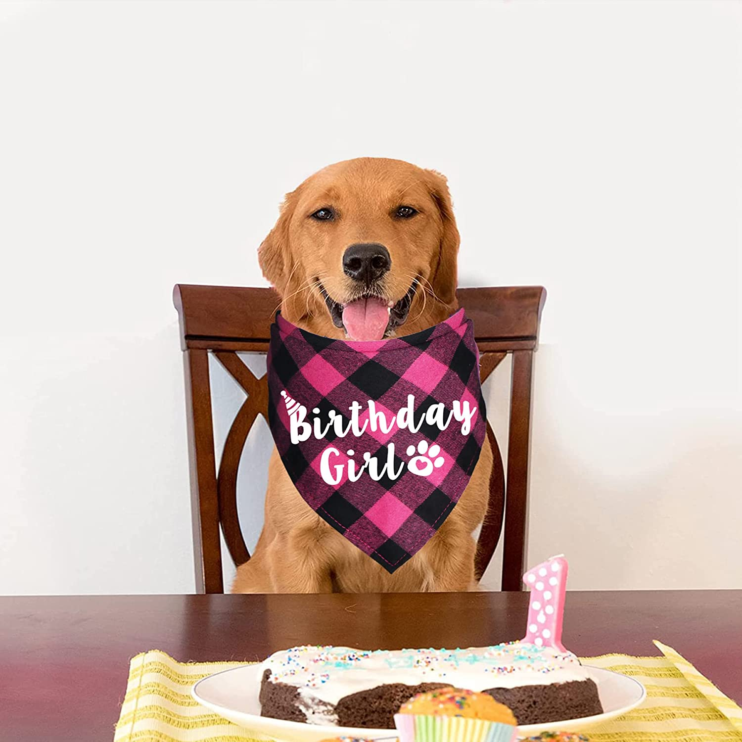 Plaid Dog Bandanas for Birthday Party Supplies (Blue and Pink) - Blue image number 5