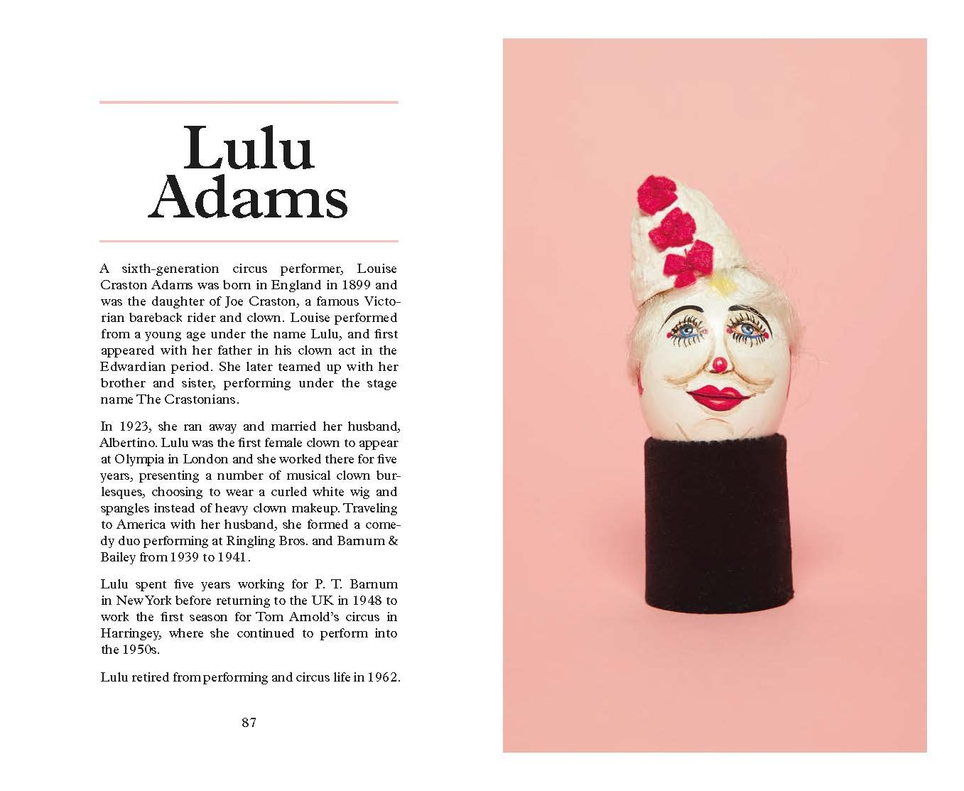 The Clown Egg Register: (Funny Book, Book about Clowns, Quirky Books) image number 1