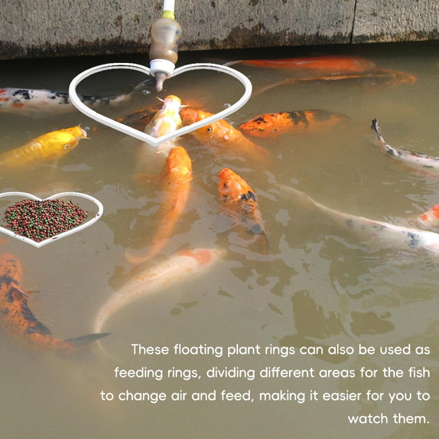 Feeding Ring for Fish Tank,Heart Shape Aquarium Floating Ring - Aquarium Floating Plant Corral, Ideal for Keeping Plants in Place for Fish Tank image number 3