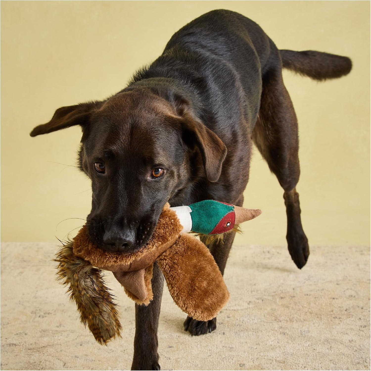 Rosewood Joules Pheasant Dog Toy, One Size, Red, 0.1 Kg image number 3
