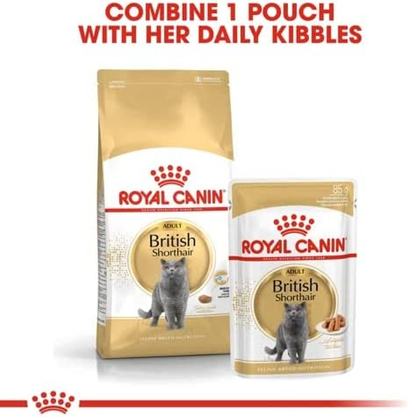 Royal Canin British Shorthair in Gravy Adult over 12 Months Pouches Wet Cat Food 85 GMS 12 Pack image number 1