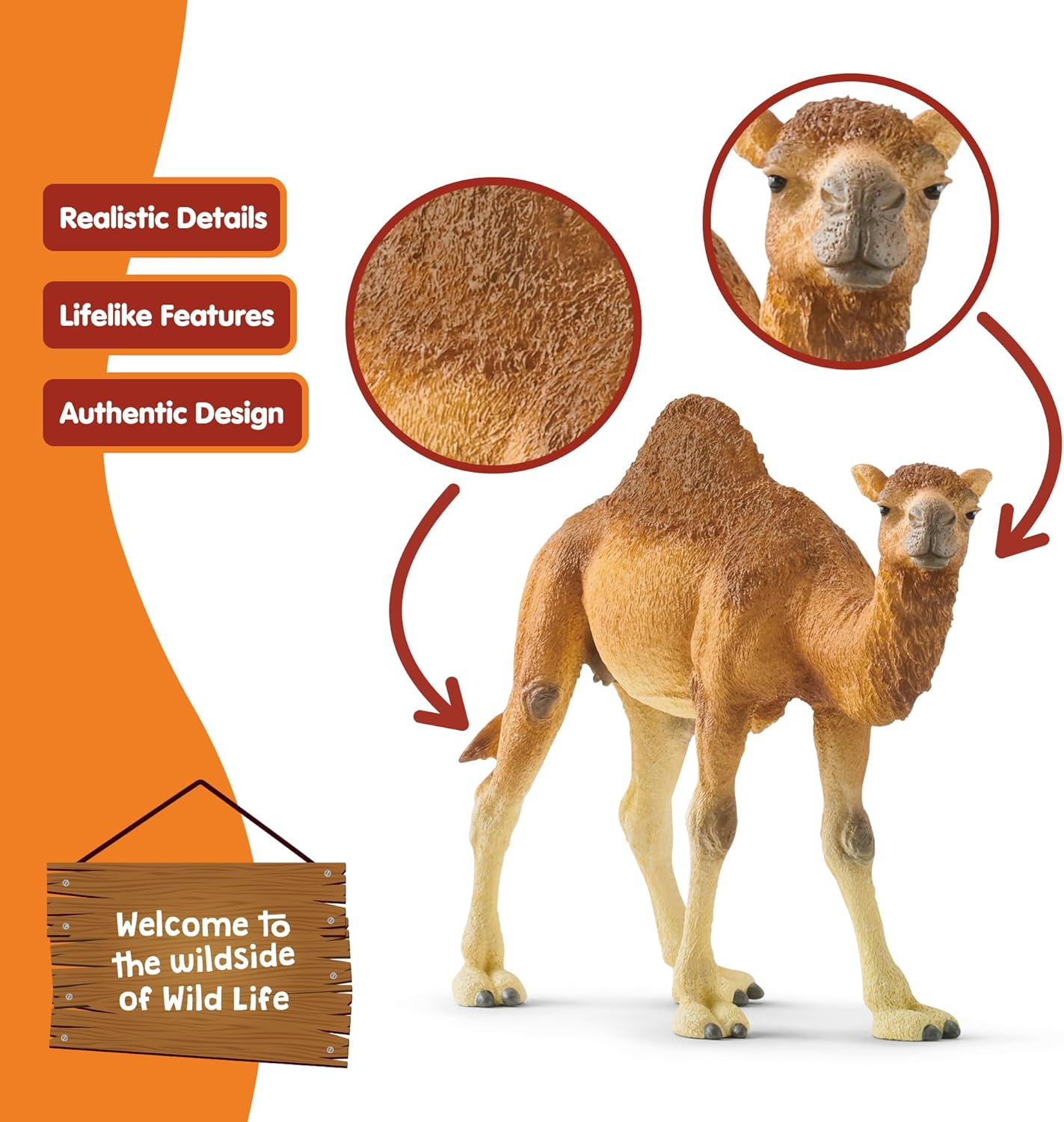Schleich Wild Life Realistic Dromedary Camel Figurine - Authentic and Highly Detailed Wild Animal Toy, Durable for Education and Fun Play, Perfect for Boys and Girls, Ages 3+, Multicolor, 3.9 Inch image number 3