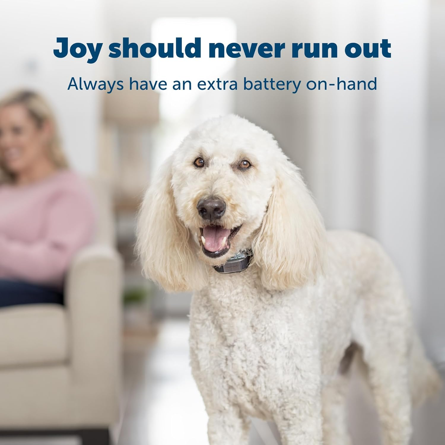 Petsafe RFA-188 3 Volt Replacement Battery Module- Compatible with Petsafe 3V Lithium Battery-Operated Products, Black image number 3