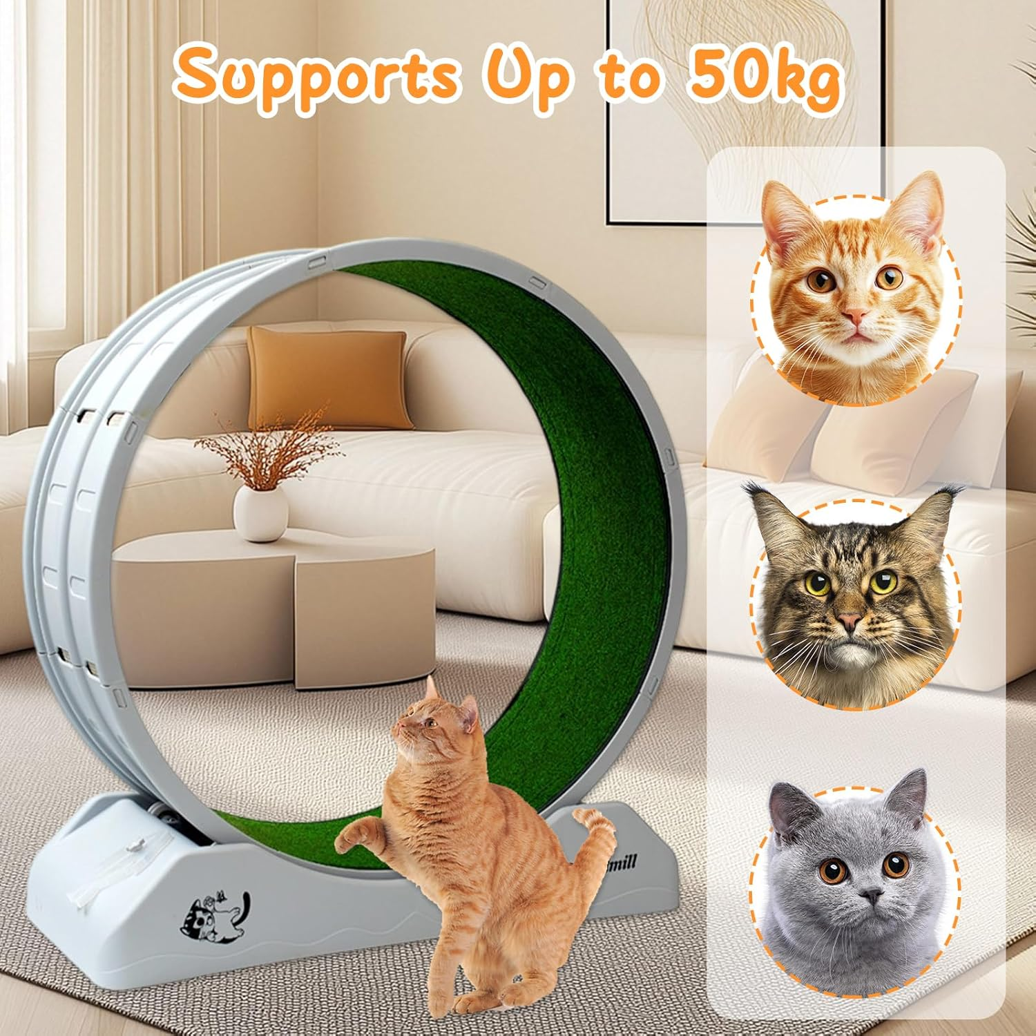 Cat Toy Exercise Wheel, Cat Wheel Running, Feline Spinning Walking Training Circle with Detachable Carpet Plastic - Durable, Quiet & Fun for Indoor Cats - (80CM) image number 6